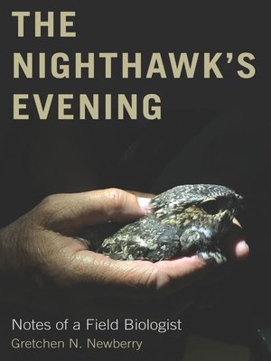 cover image of The Nighthawk's Evening